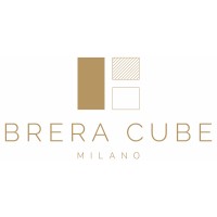 Brera Cube logo - Similar company to Delfe Development & Management