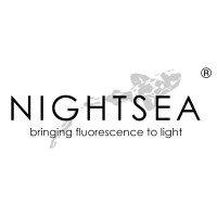 NIGHTSEA logo - Similar company to Temporary Solution Staffing