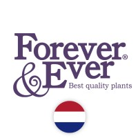 Gebr. Jonkers Elshout BV