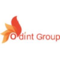 ODINT INDIA logo - Similar company to Ondemand International