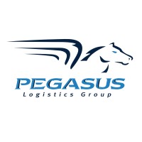 Pegasus Logistics Group logo - Similar company to Pgl (Perimeter Global Logistics)