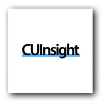 CUInsight.com logo - Similar company to Cues