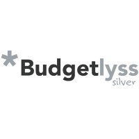 Budgetlyss Silver logo - Similar company to Budgetlyss Green