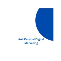 Anil Kaushal Digital Marketing logo - Similar company to Truevine International Group