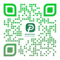 PAIECASH logo - Similar company to Set Tech