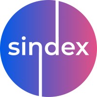 Sindex logo - Similar company to Talnets