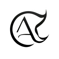 Adiniru Academy logo - Similar company to Enclaps
