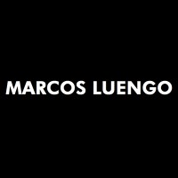 Marcos Luengo logo - Similar company to Perryman Studio