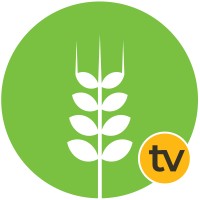 Agripreneur TV logo - Similar company to Ifarming