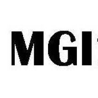 MGI Consulting logo - Similar company to Solve Engineering Solutions