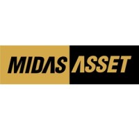 Midas International Asset Management Ltd logo - Similar company to Midas Wealth Management
