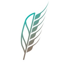 Cygne logo - Similar company to Wit Soluciones Tecnológicas