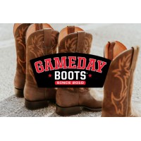 Gameday Boots logo - Similar company to Athlete Performance Solutions