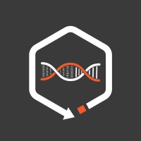 HexSync logo - Similar company to Digipex Gmbh
