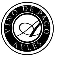BODEGA PAGO DE AYLES logo - Similar company to Fundación Basilio Paraíso