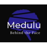 Medulu - Behind the Face logo - Similar company to Mindspark Pune