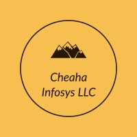 Cheaha Infosys LLC logo - Similar company to Queue Cameras