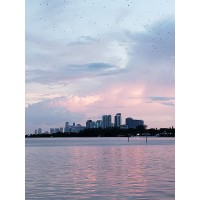 Miami Tax Appeals, Inc. logo - Similar company to Cfo Now!