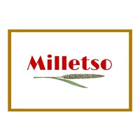 Milletso logo - Similar company to Elevate Global Academy