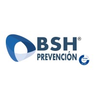 BSH GESTION DE LA PREVENCION S.L.P. logo - Similar company to Bsh Ingenieros Spa