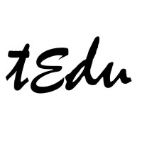 Travel Edu logo - Similar company to Travel & Stay