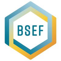 BSEF logo - Similar company to Icl Industrial Products