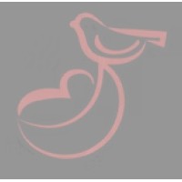 Newborn Nightingales, LLC logo - Similar company to Triangle Nannies & Household Staffing