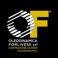 OLEODINAMICA FORLIVESE SRL logo - Similar company to Hs Hydro System