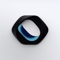 DayRise.io logo - Similar company to Zarcom :: Technology Solutions