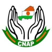 CNAP-NIGER logo - Similar company to Sml Niger