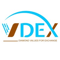 VDEX.,JSC logo - Similar company to Nuevo Milenio