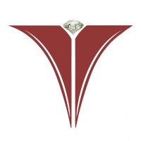 Vision Gems Pvt. Ltd. logo - Similar company to Blockaitech