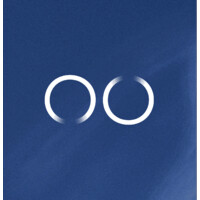 MINDROOM logo - Similar company to Leolytix