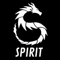 Equipe Spirit logo - Similar company to Adelphi Aerodesign Team - Unesp Sjbv