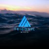 Trigonic Media logo - Similar company to Sky City Entrepreneur Center