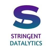 Stringent Datalytics | Market Research & Consulting logo - Similar company to Dataharbor Research