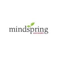 Mindspring Advisors logo - Similar company to Revite Restructuring Llp