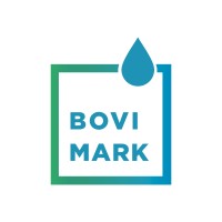 Bovi Mark Log logo - Similar company to Lse Institute
