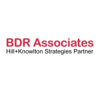 BDR Associates Romania logo - Similar company to Empathy Network