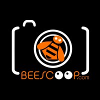 Beescoop.Com