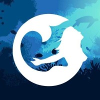 Nixen logo - Similar company to Sefa