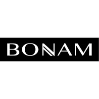 Bonam Ventures logo - Similar company to Bonam Properties Llc