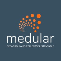Somos Medular logo - Similar company to Aldinet S.L.