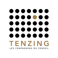 Tenzing Conseil logo - Similar company to Envoria