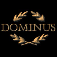 DOMINUS Equipamentos Eletrônicos de Medição Ltda logo - Similar company to Span Equipamentos Eletrônicos Ltda.