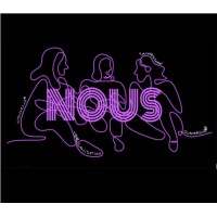 Nouvelle Organisation Universitaire Subversive (N.O.U.S) logo - Similar company to Msc Audit & Conseil