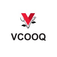 VCOOQ logo - Similar company to Mozhi