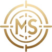 MarketShoot logo - Similar company to Bigdata Fund