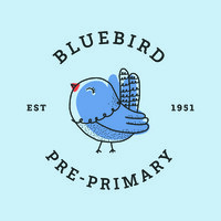 Bluebird Pre-Primary School logo - Similar company to Rns - Radio Network Solutions