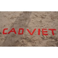 CAD VIET logo - Similar company to 株式会社メイコー
